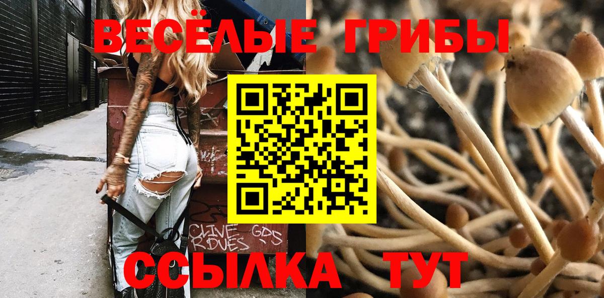 Галлюциногенные грибы мухоморы  Вход с VPN  Алатырь 